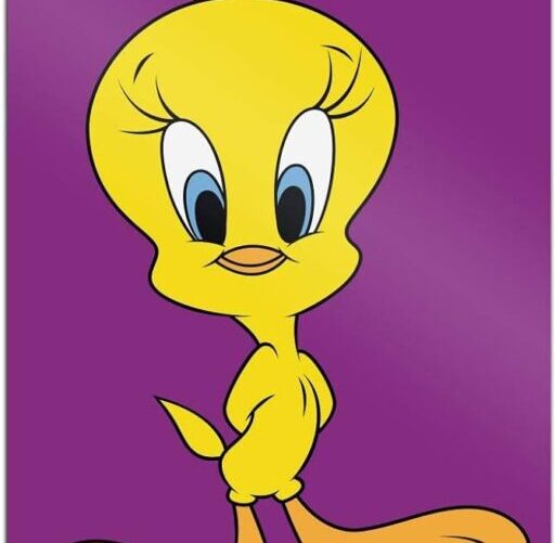 Tweety Solutions